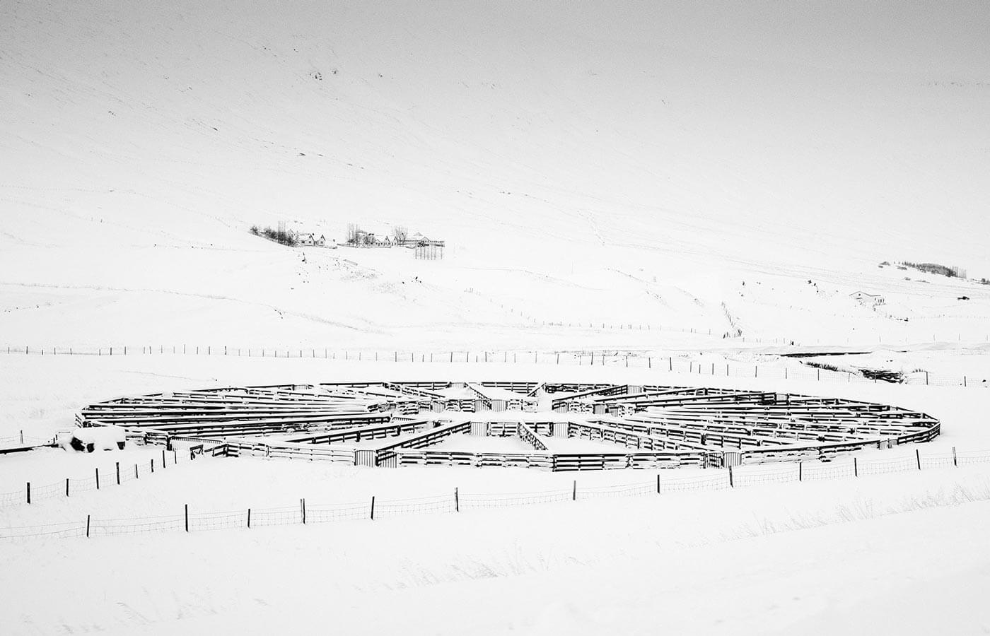 circle lamb fence in the snowy winter